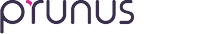 logo2 1